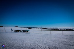 schnee-jan-21-_18_20210131_1384506576