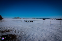 schnee-jan-21-_1_20210131_1956862451