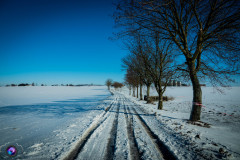 schnee-jan-21-_23_20210131_1640709464