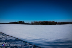 schnee-jan-21-_25_20210131_2094031235