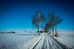 schnee-jan-21-_28_20210131_1838368926