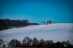 schnee-jan-21-_32_20210131_1740970518