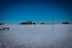 schnee-jan-21-_4_20210131_1134543638