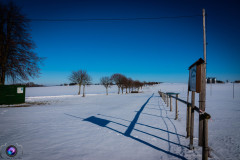 schnee-jan-21-_6_20210131_1994462286