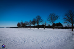 schnee-jan-21-_7_20210131_1670603474