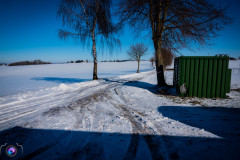 schnee-jan-21-_9_20210131_1185453859