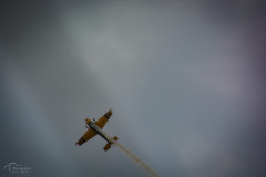 flugshow-2022_50_20220626_1911105245