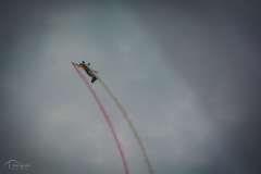flugshow-2022_61_20220626_1965095860