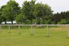 antrag_13_20150531_1830719057