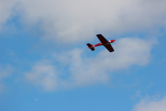 herbstfliegen_12_20121003_2078821868