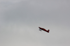 herbstfliegen_25_20121003_2062765753