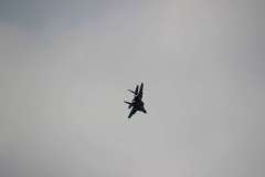 ila2014-_116_20140523_1357915045