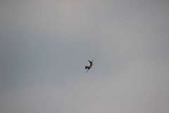 ila2014-_117_20140523_1965011660