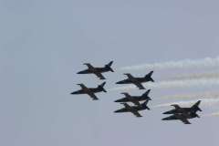 ila2014-_189_20140523_1354862293