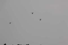 ila2014-_211_20140523_1057176943