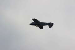 ila2014-_36_20140523_1831326898