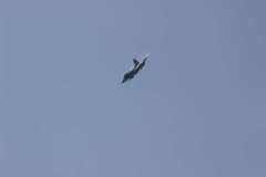 ila2014-_61_20140523_1928491893