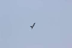 ila2014-_64_20140523_1090932059