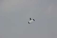 ila2014-_86_20140523_1019307318