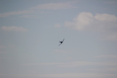 ila_2012_189_20120914_1027321724