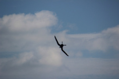 ila_2012_194_20120914_1078679378