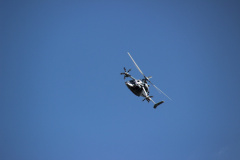 ila_2012_211_20120914_1052315418