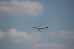 ila_2012_229_20120914_2007546214