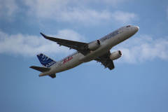 ila_2012_231_20120914_1713246540