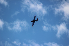 ila_2012_250_20120914_1442848545