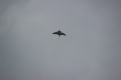 ila_2012_275_20120914_1204160583