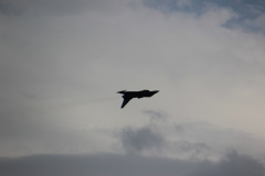 ila_2012_292_20120914_1447639141