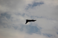 ila_2012_293_20120914_2045298622