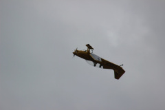 ila_2012_329_20120914_1944760081