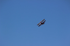 ila_2012_38_20120914_1129304682