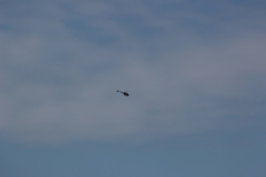 ila_2012_72_20120914_1983247587