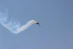 ila_2012_81_20120914_1312381498