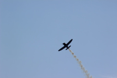 ila_2012_85_20120914_1759048253