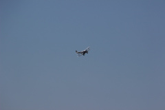 ila_2012_89_20120914_1293056108