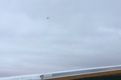 janfeb_13_20170206_1198971843