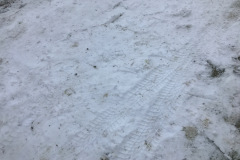 janfeb_18_20170206_2024115745
