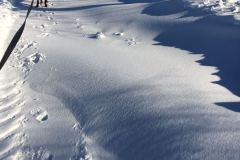 janfeb_21_20170206_1383038917