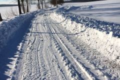 janfeb_22_20170206_1891135100