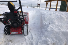 janfeb_8_20170206_1709598028