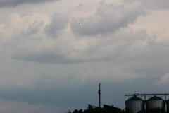 jugendmeisterschaft_2017_44_20170605_1140865500
