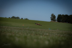 17072022-_1_20220717_1119560262