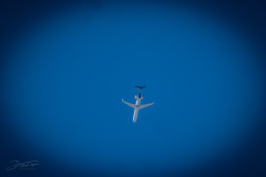 17072022-_20_20220717_1542564621
