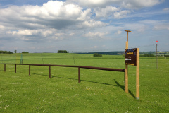 endlich_sonne_3_20130615_1610782341