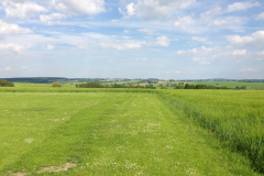 endlich_sonne_5_20130615_1613798258