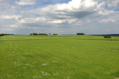 endlich_sonne_6_20130615_1838751064