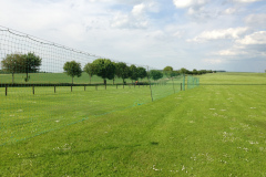 endlich_sonne_7_20130615_1539019160